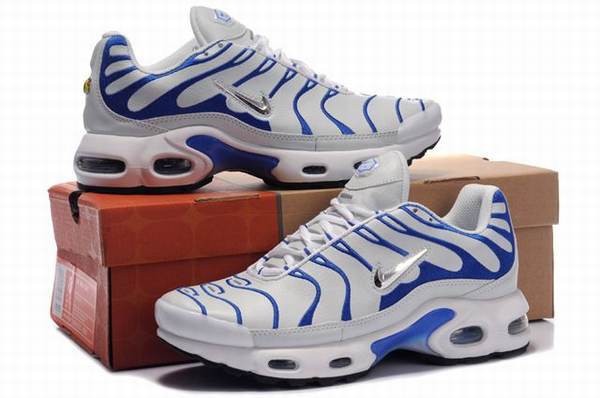 tn bleu requin